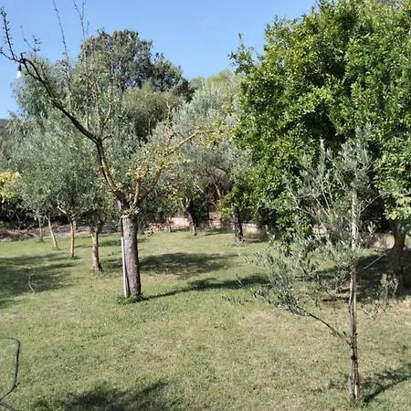 Apartament Il Giardino Di Gio Iglesias